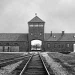 Group Visit to Auschwitz Exhibition